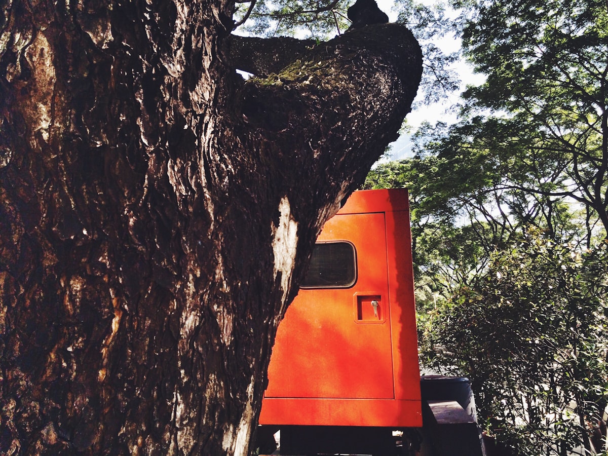 A & L Tree Service